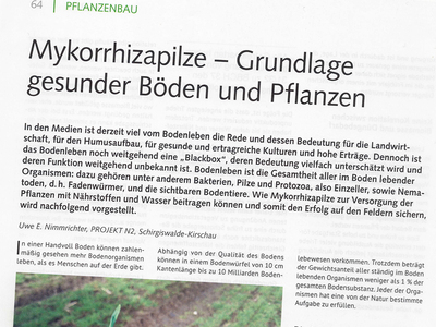 Mykorrhizapilze - Grundlage gesunder Böden und Pflanzen