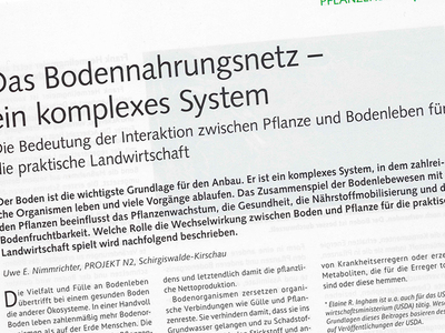 Das Bodennahrungsnetz - ein komplexes System