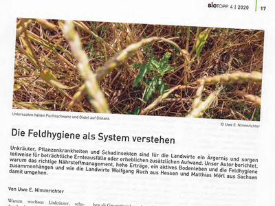 Feldhygiene als System verstehen