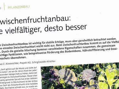 Zwischenfruchtanbau: Je vielfältiger,desto besser