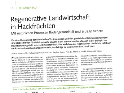 Regenerative Landwirtschaft in Hackfrüchten