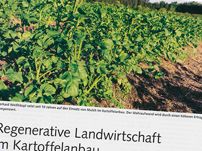 Regenerative Landwirtschaft im Kartoffelanbau