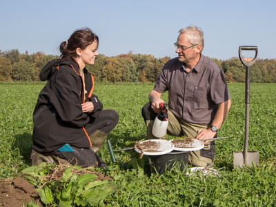 Grüne Brücke – Büro für Regenerative Landwirtschaft