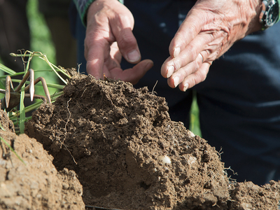 Webinarplattform der Regenerativen Landwirtschaft