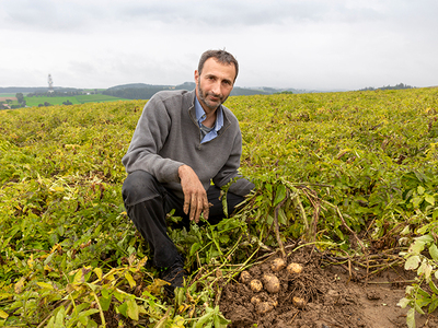 Regenerative Landwirtschaft im Kartoffelanbau