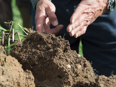 Handbuch zur Regenerativen Landwirtschaft erscheint bei Eugen Ulmer